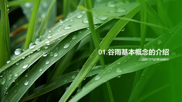 深度解读谷雨节气