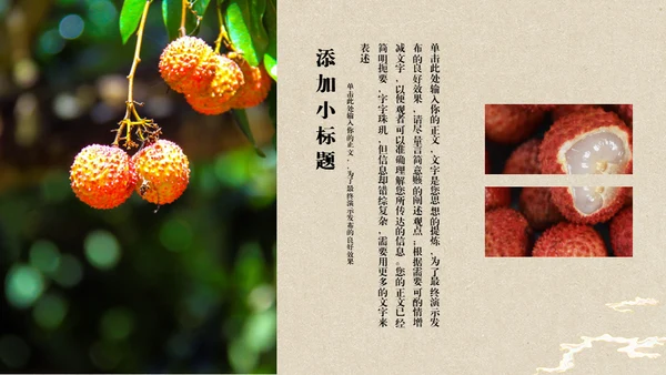 中国风长安的荔枝读书分享通用PPT