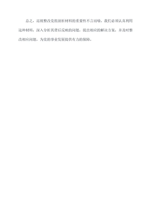 巡视整改党组剖析材料