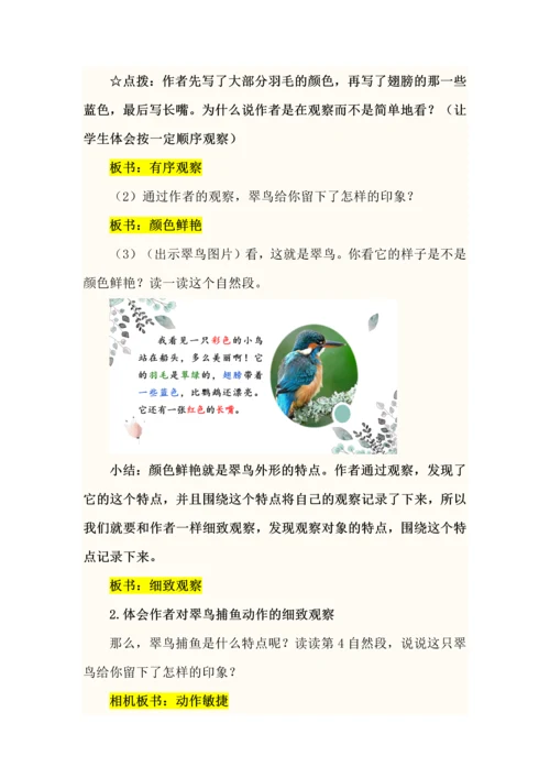 留心观察抓特点--三年级语文上册第五单元《搭船的鸟》教学设计.docx