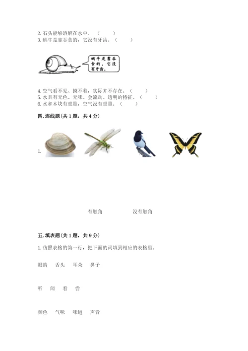 教科版小学科学一年级下册期末测试卷含完整答案【网校专用】.docx