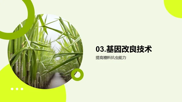 糖料种植的科技革命
