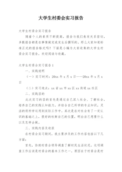 大学生村委会实习报告.docx