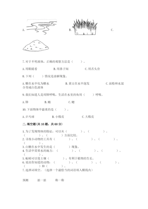 教科版一年级下册科学期末测试卷附参考答案ab卷.docx