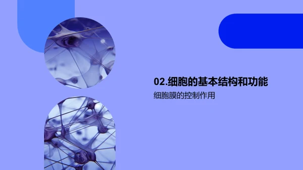 商务风生物医疗教学课件PPT模板