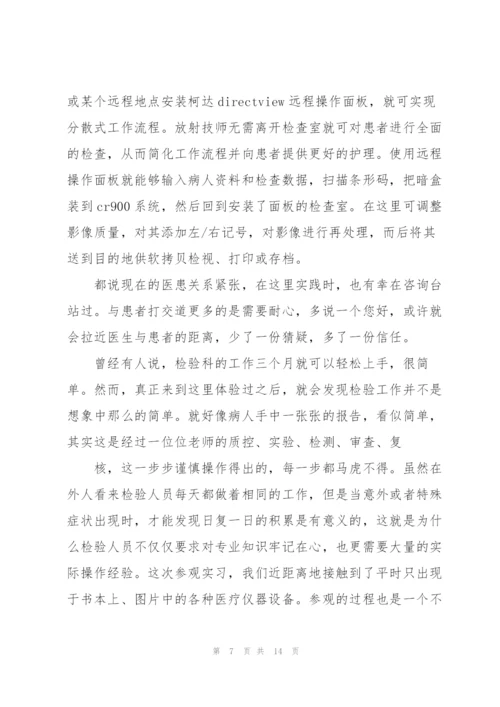 年度实习报告格式总结模板.docx