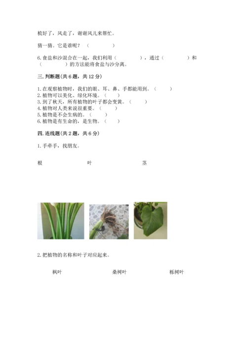 教科版科学一年级上册第一单元《植物》测试卷附参考答案【完整版】.docx