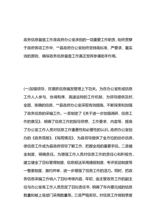 政务督查工作总结.docx