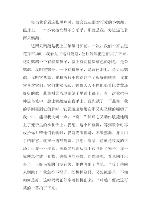 一张照片给我的回忆作文.docx