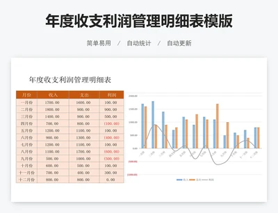 年度收支利润管理明细表模版