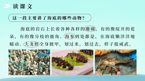 部编版三年级上册第十八课富饶的西沙群岛PPT模板