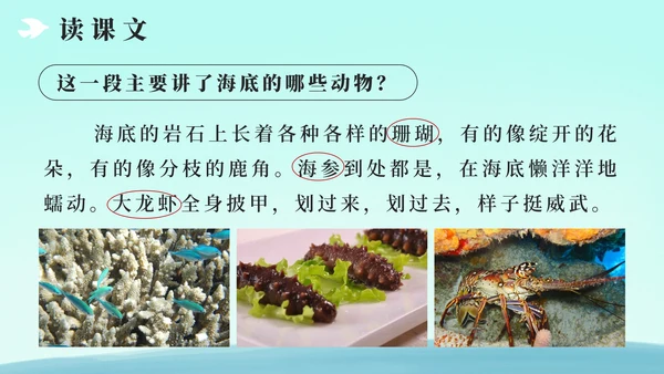 部编版三年级上册第十八课富饶的西沙群岛PPT模板