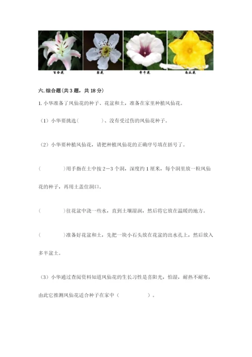 教科版四年级下册科学第一单元《植物的生长变化》测试卷a4版.docx