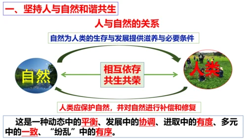 【新课标】6.2 共筑生命家园 课件（33张ppt）