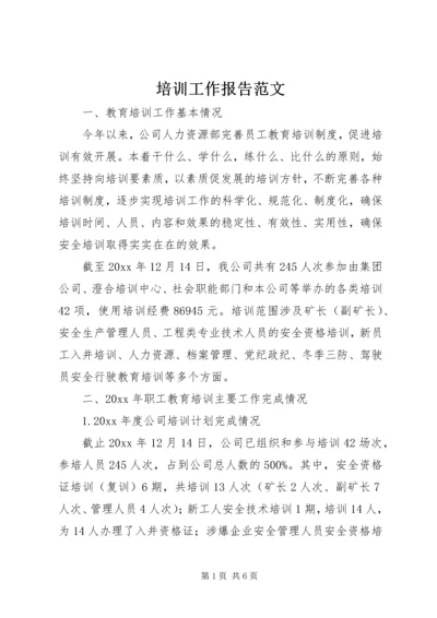 培训工作报告范文.docx