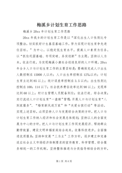 梅溪乡计划生育工作思路.docx