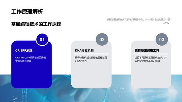 基因编辑技术解析