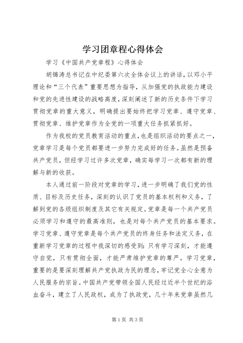 学习团章程心得体会 (3).docx