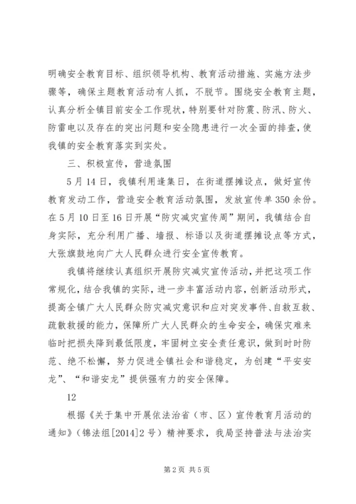 人民政府防灾减灾宣传活动工作总结.docx