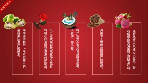 网红主播直播带货电商助力扶贫PPT模板