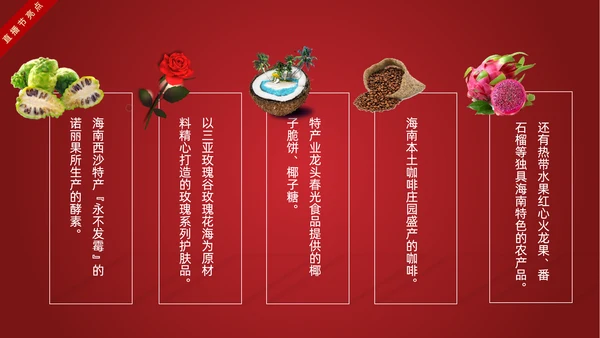 网红主播直播带货电商助力扶贫PPT模板