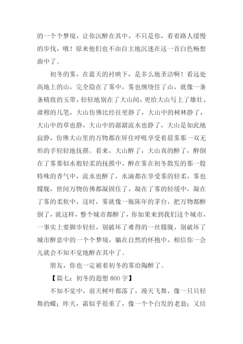 关于初冬的作文.docx