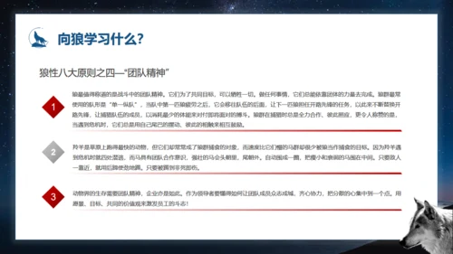 如何打造狼性团队培训狼文件通用PPT模板