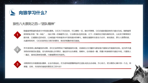 如何打造狼性团队培训狼文件通用PPT模板