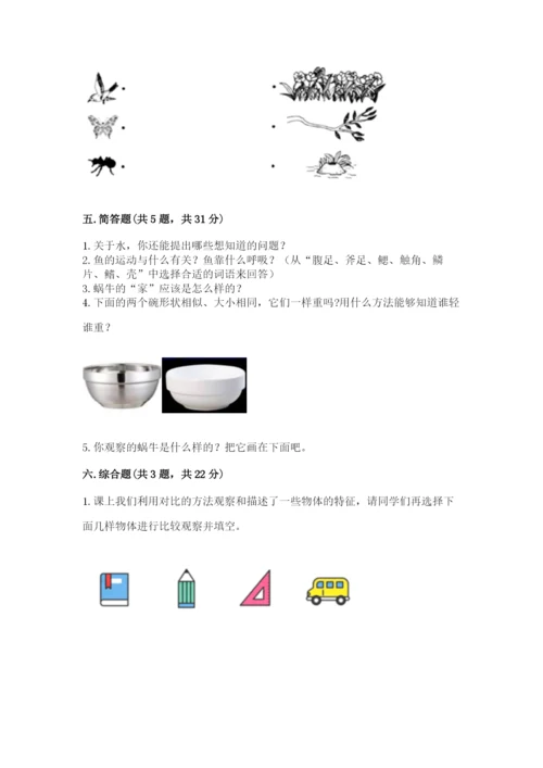 教科版一年级下册科学期末测试卷精品（名师推荐）.docx