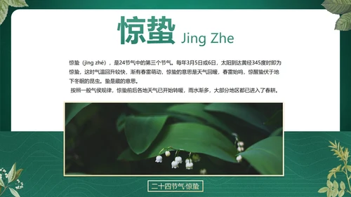 绿色花卉古风传统二十四节气科普主题教育PPT模板