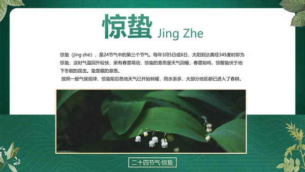 绿色花卉古风传统二十四节气科普主题教育PPT模板