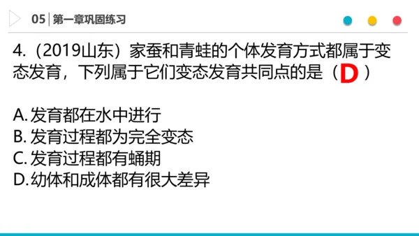 八下 第七单元复习课件(共58张PPT)