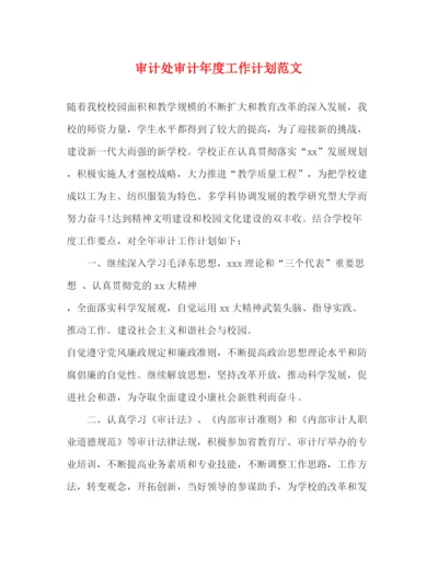 精编之审计处审计年度工作计划范文.docx