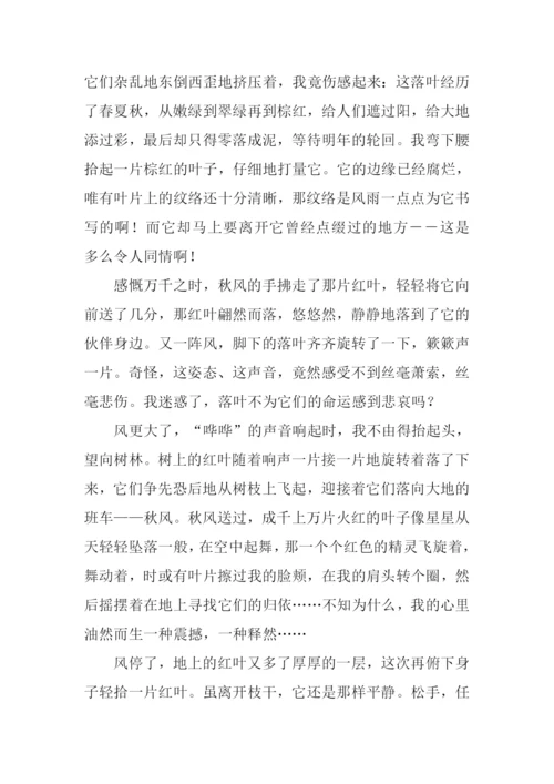 什么正当时作文.docx