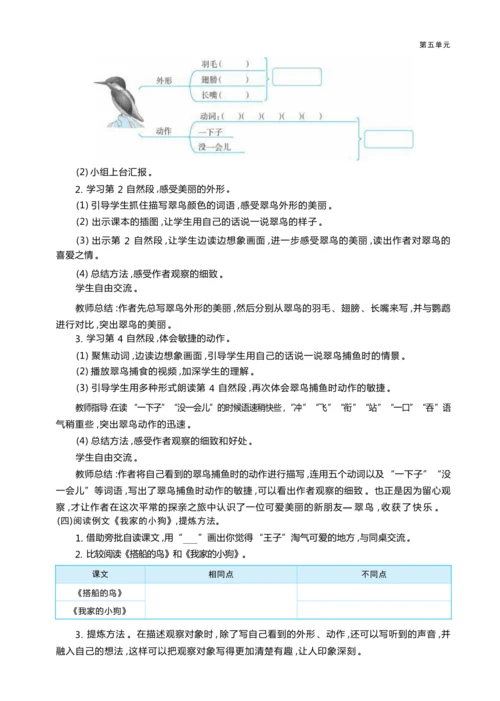 统编版语文三年级上册第五单元  品缤纷世界 ,争做小小观察员 大单元主题情境式教学设计