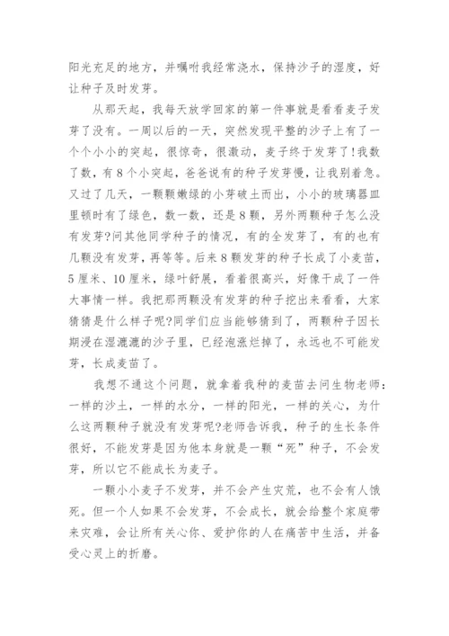 材料性议论文.docx
