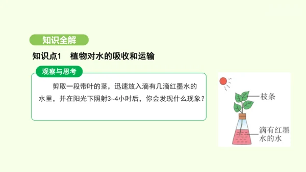第三单元-第二章-第一节-水的利用与散失课件-2024-2025学年七年级生物下学期人教版(2024