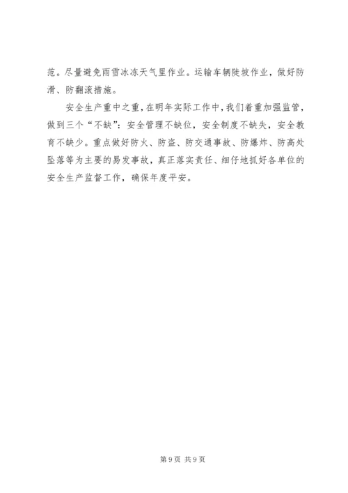 乡镇安全生产的年终工作总结.docx