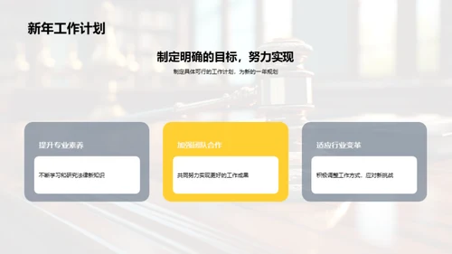 法律领域年度总结