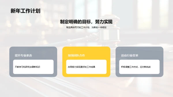 法律领域年度总结