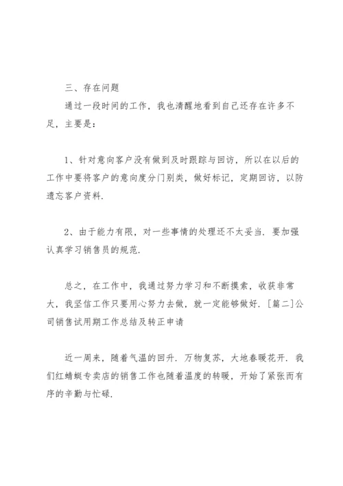 公司销售试用期工作总结及转正申请.docx