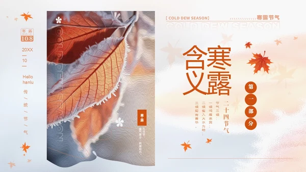 白色淡雅实拍风中国传统节气寒露节气介绍PPT