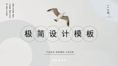 极简设计产品宣传海鸟通用PPT模板