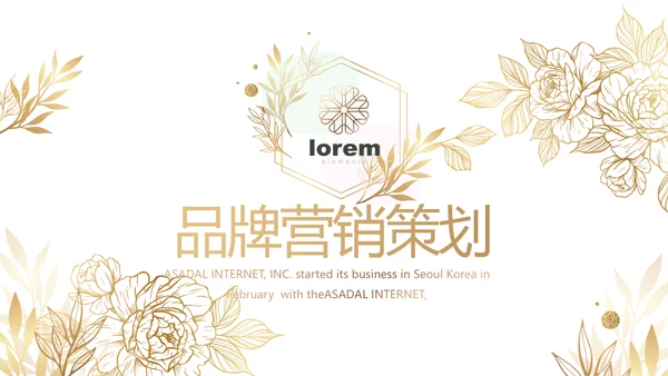 公司品牌营销策划方案工作总结PPT