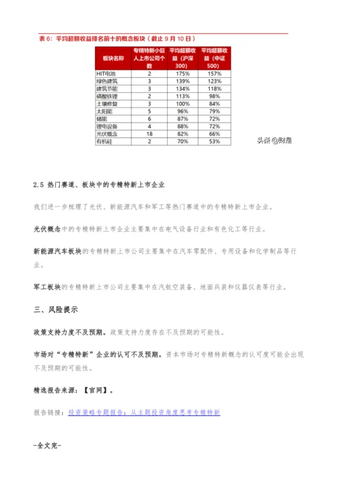 投资策略专题报告-从主题投资角度思考专精特新.docx