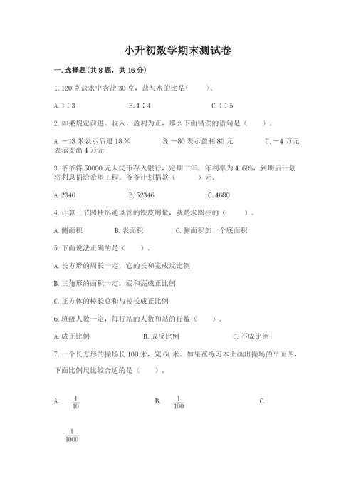 小升初数学期末测试卷精品（实用）.docx