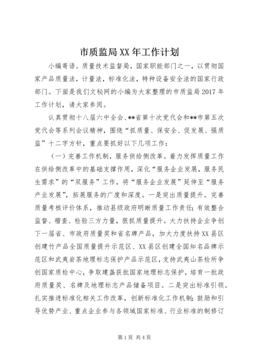 市质监局XX年工作计划.docx