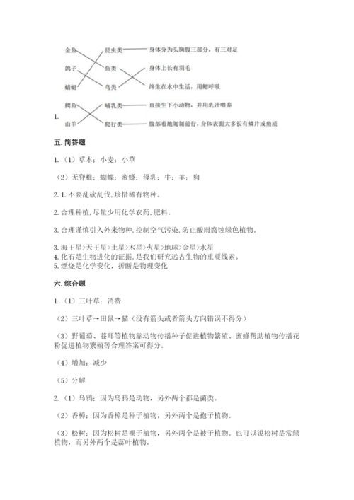 教科版六年级下册科学期末测试卷精品（考点梳理）.docx