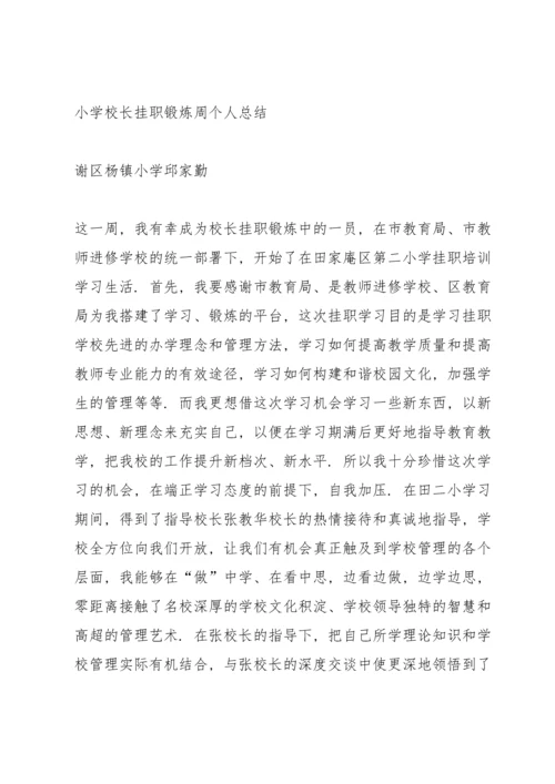 校长挂职锻炼总结.docx