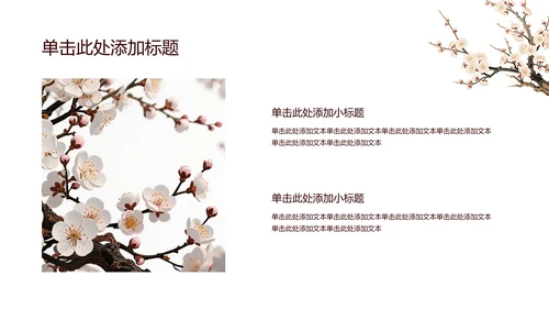 白色简约风梅花介绍PPT模板